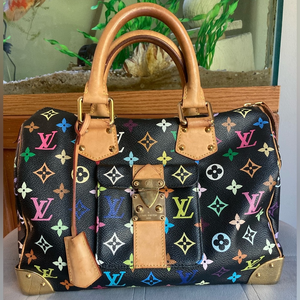 Louis Vuitton Multicolor Murakami speedy 30